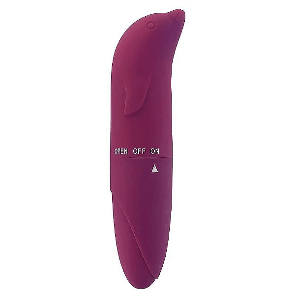 Renda Extra com Revenda de Sex Shop em Recife